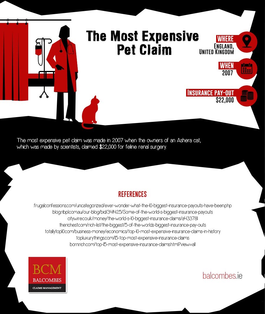 Most Expensive Pet Claims